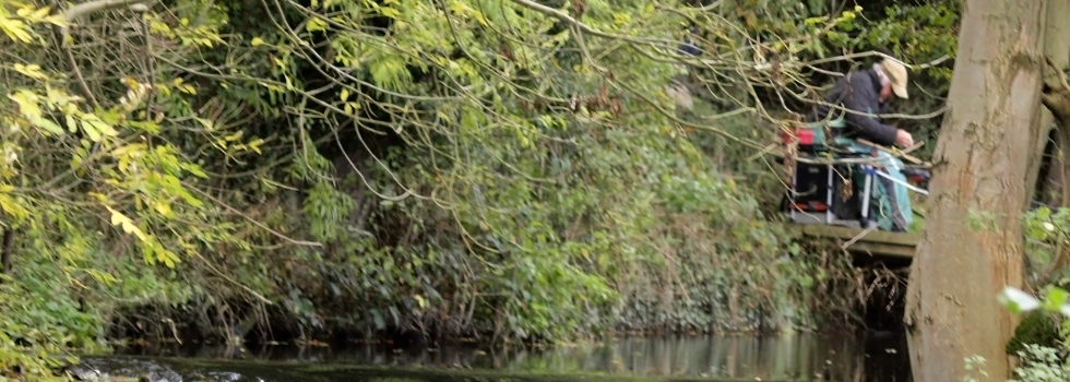 Online Tackle Store Oakwood Angling
